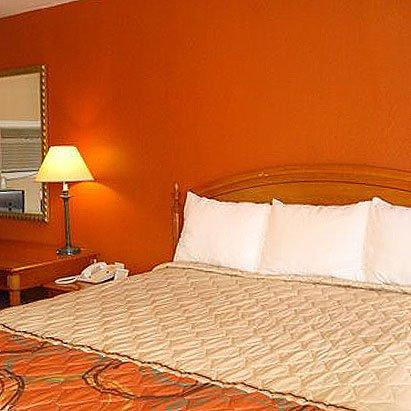 Starlite Motel主图