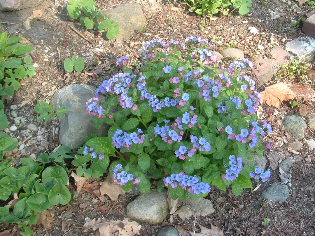 Mounds State Park-安德森必去景点