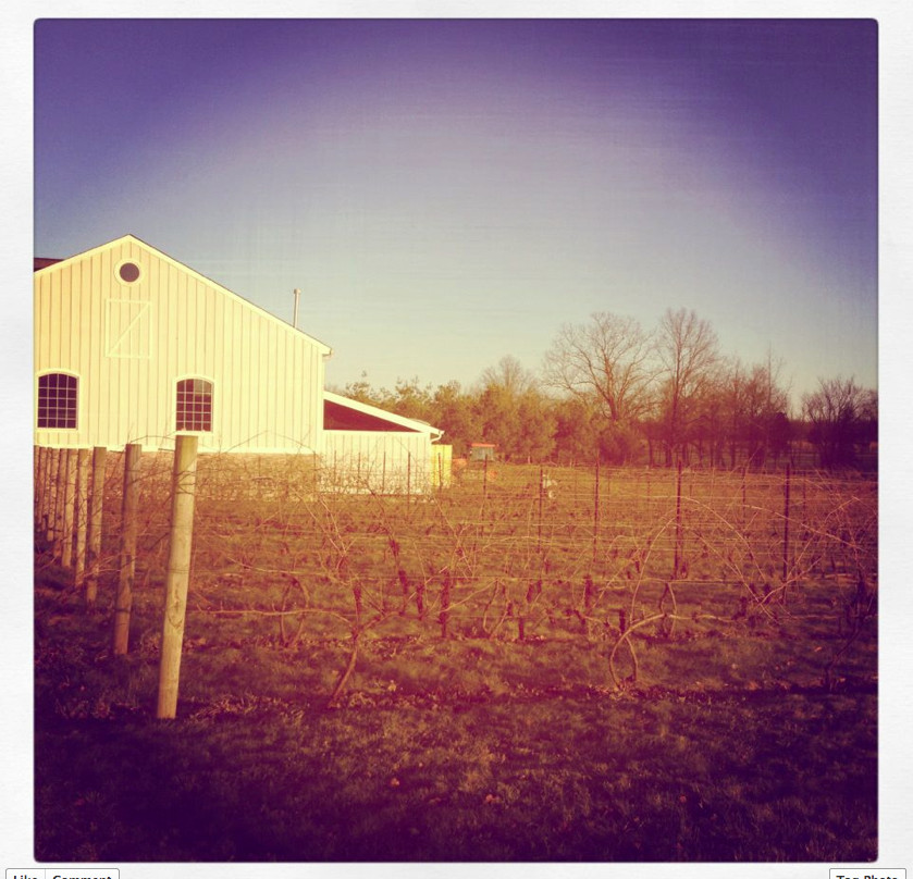 Hopewell Valley Vineyards-Pennington必去景点