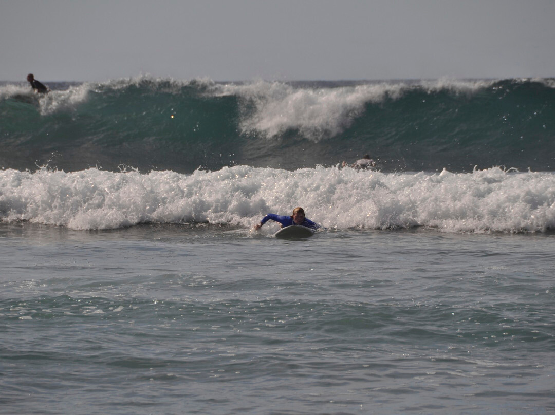 Mario Surf School-托多斯桑托斯必去景点
