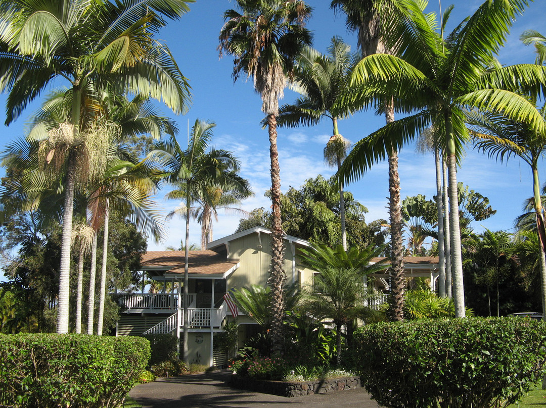 库克船长酒店住宿-槟榔树家庭式酒店