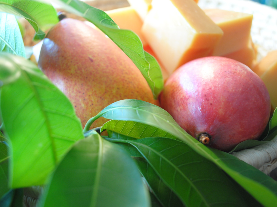 Beach Bubbles Cayman-大开曼岛必去景点
