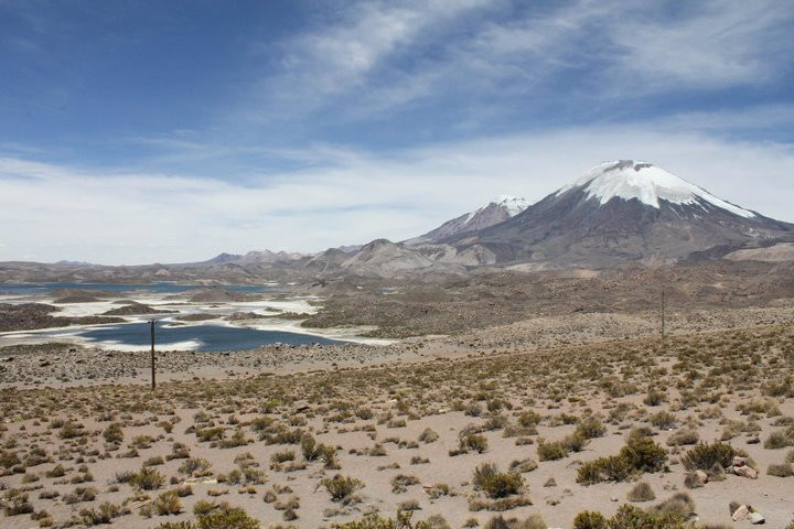 Parque Nacional Lauca-阿里卡必去景点