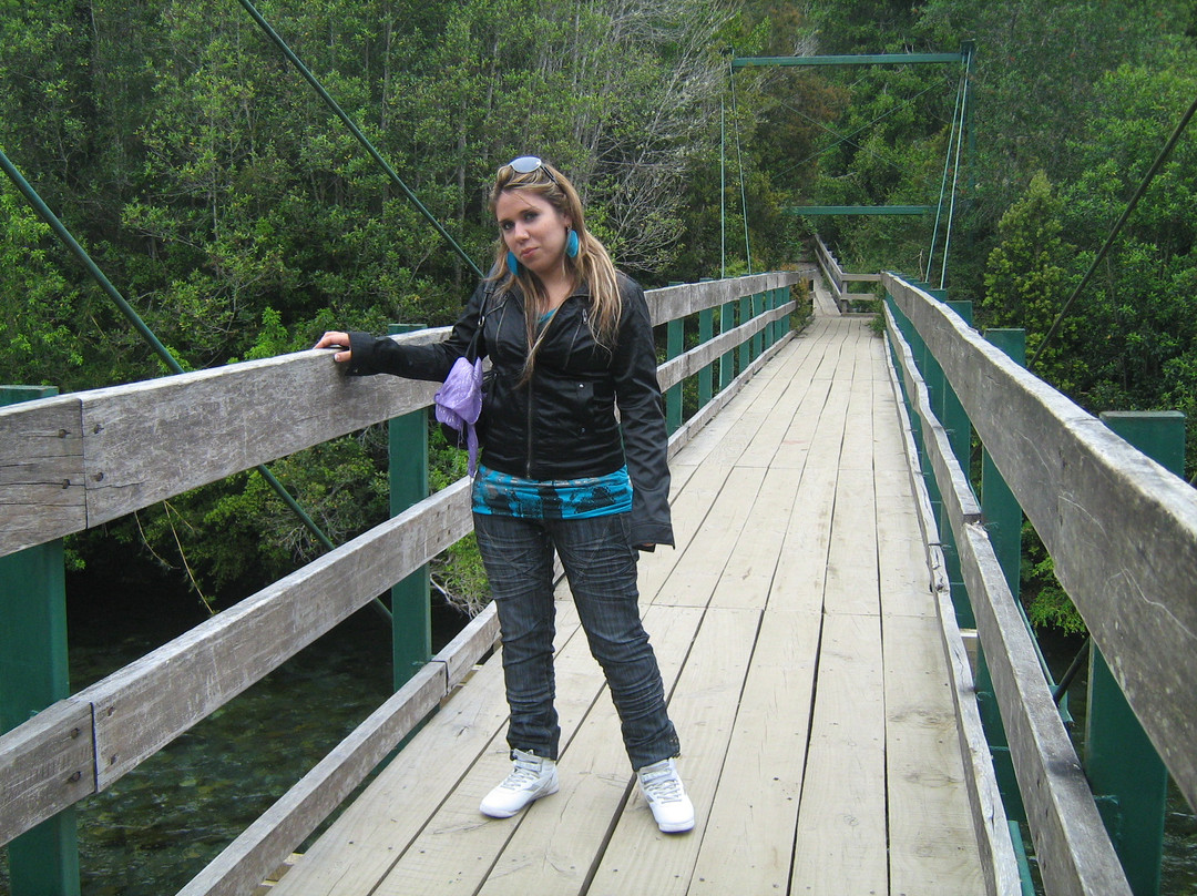 Termas y cabanas Aguas Calientes-Osorno必去景点