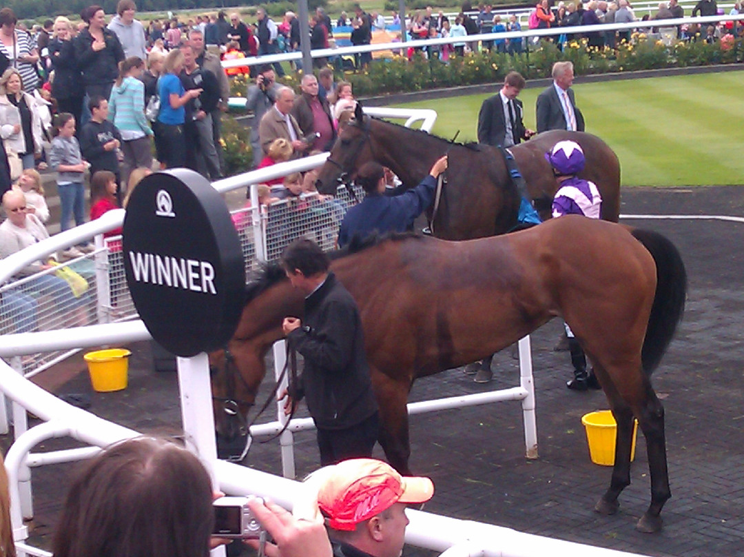 Newcastle Racecourse景点图片