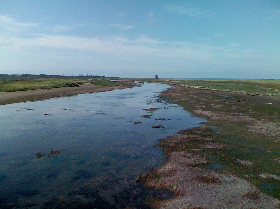 根室市春国岱原生野岛公园-根室市必去景点