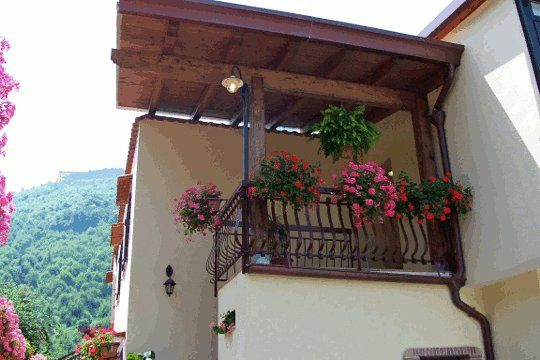 Pensione Gli Ulivi主图