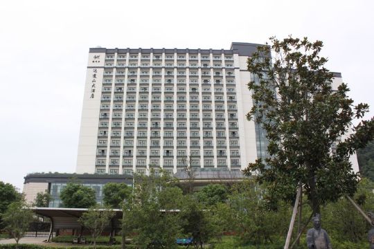 达蓬山大酒店-客卧