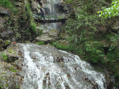 中国大竹海-安吉县必去景点