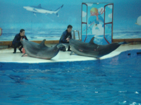 南京海底世界-南京市必去景点