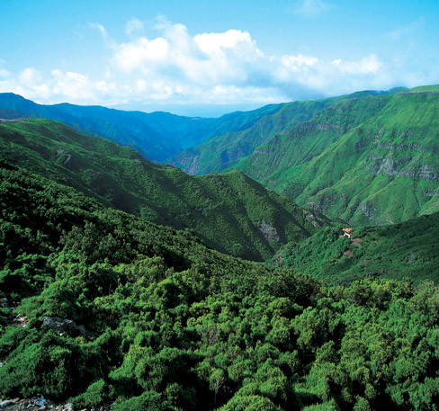 Madeira Explorers景点图片