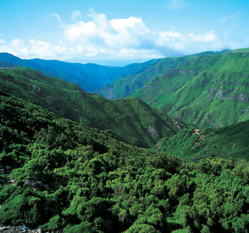 Madeira Explorers-沙尔必去景点