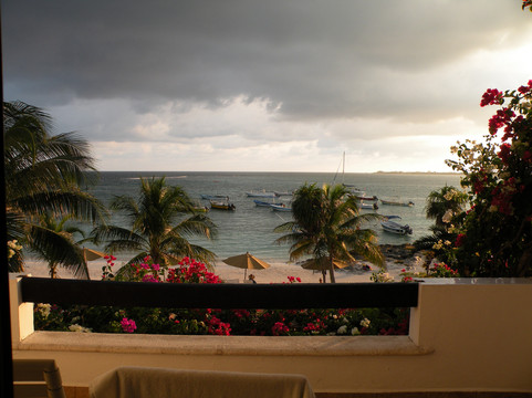 Akumal Dive Shop-艾库玛尔必去景点