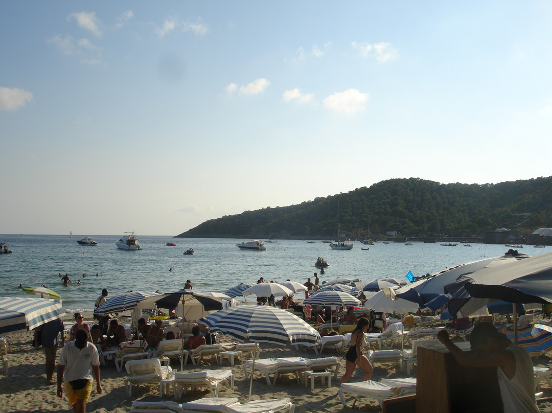 Playa de Ses Salines-Ses Salines必去景点