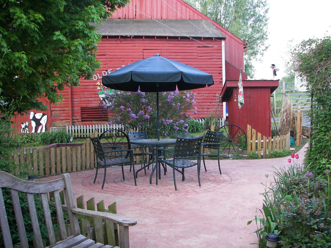 Olde Fogie Farm