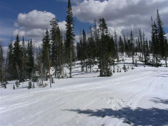 Cedar Breaks National Monument-锡达城必去景点