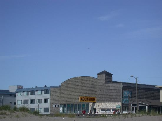 Seaside Aquarium景点图片