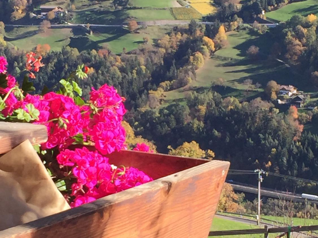 Villandro餐馆和美食-Larmhof