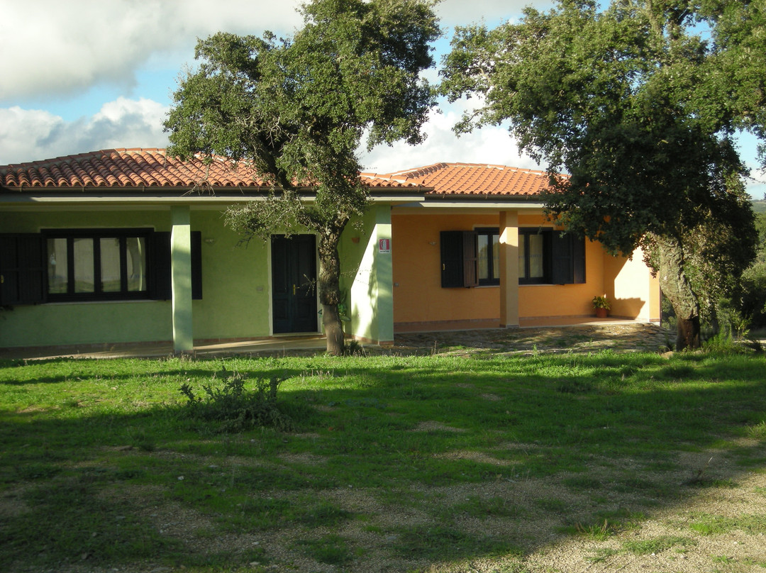 Bitti餐馆和美食-Agriturismo Calavrina