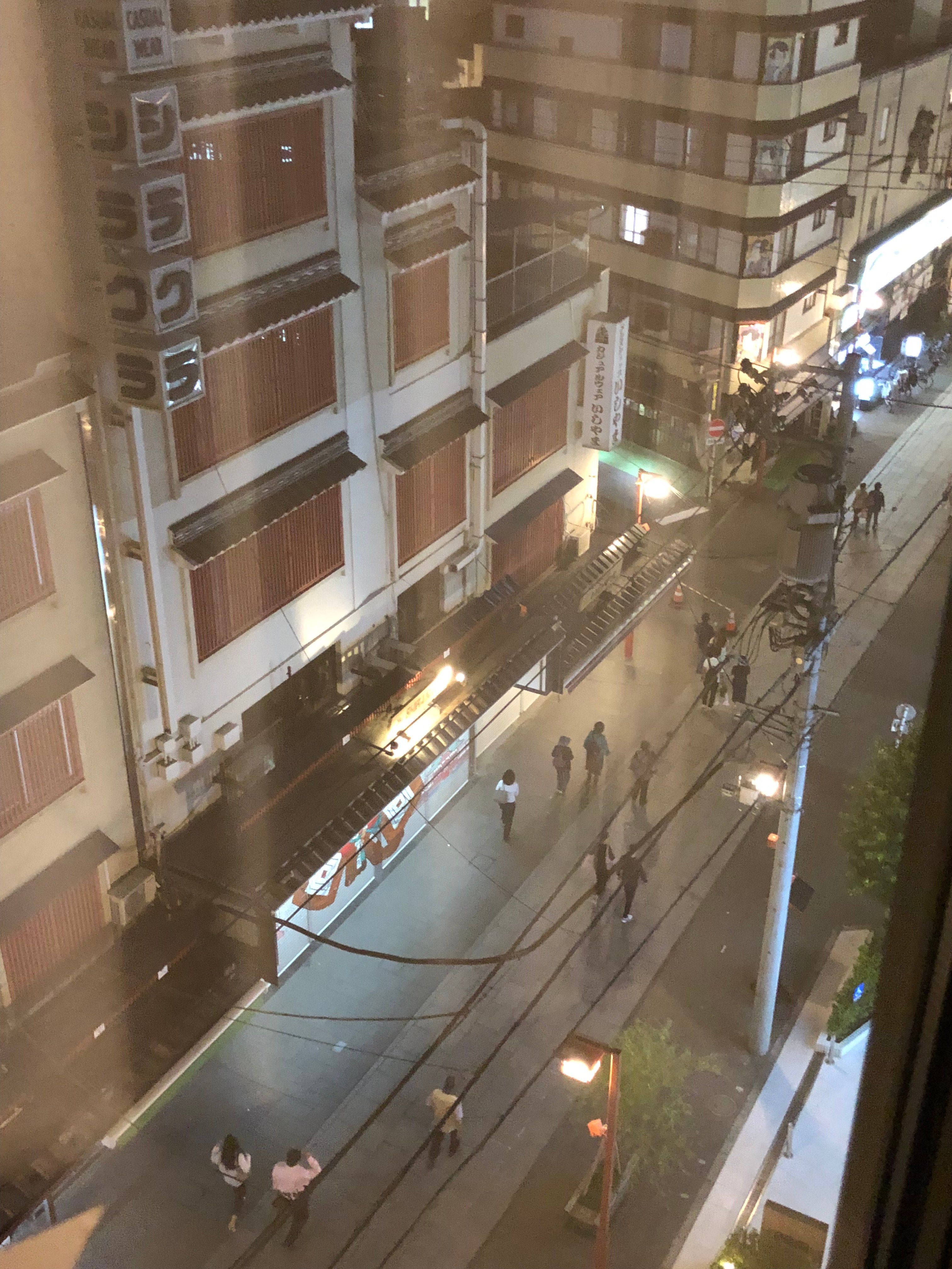 浅草里士满酒店-酒店景观