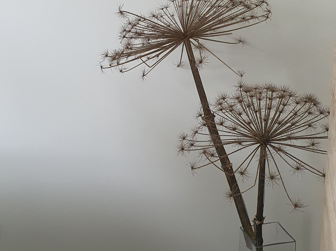 B&B Torenzicht