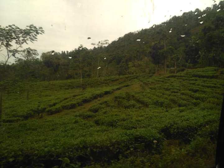 Cijalu Waterfall-Subang必去景点