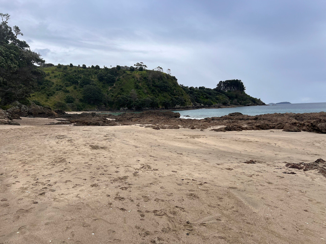 Waiheke Wine Tours Ltd景点图片