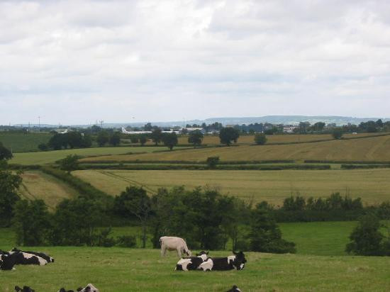 Holbrook Farm Hotel