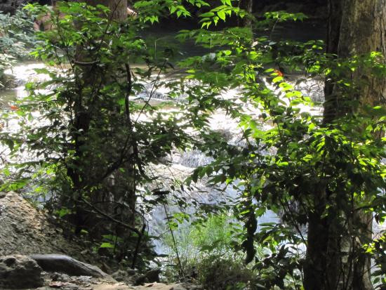 Tree Top Adventure Park Kanchanaburi-柿约必去景点
