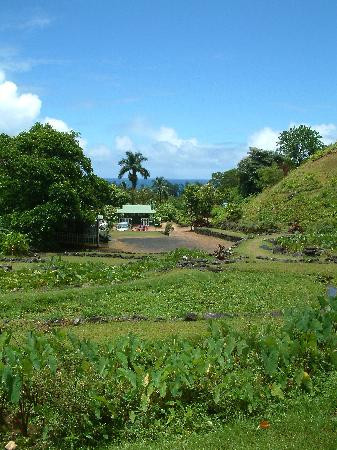 Limahuli Garden and Preserve-哈纳雷伊必去景点