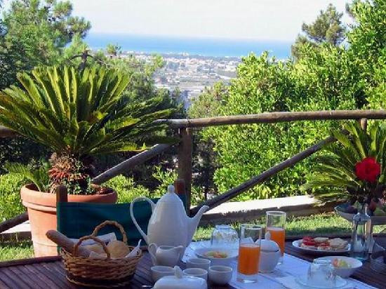 Villa Oliveto Bed & Breakfast主图