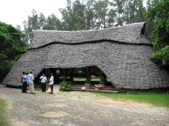 Haller Park-蒙巴萨必去景点