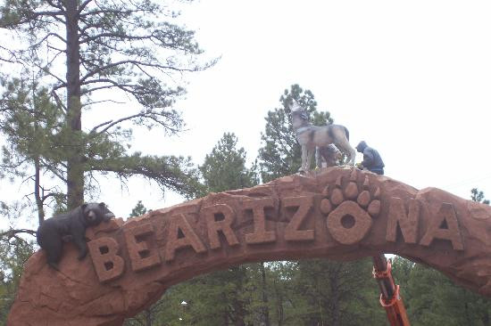 熊利桑那野生动物园-威廉姆斯必去景点