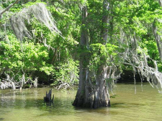 Terrebonne Parish-霍马必去景点