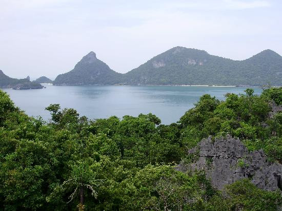 东方百分百潜水-苏梅岛必去景点
