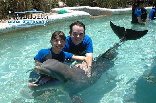 迈阿密水族馆-迈阿密必去景点