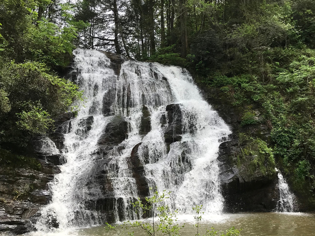 Brasstown Falls景点图片