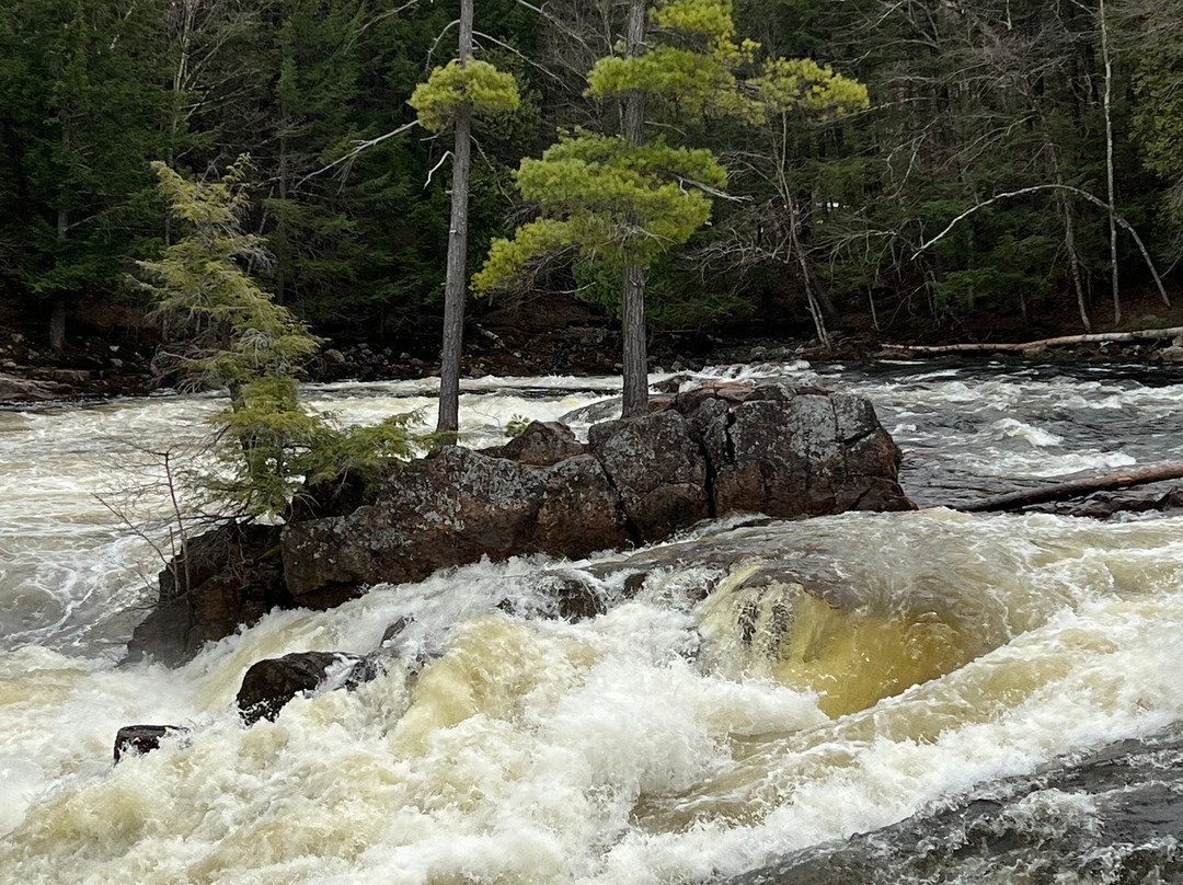 Dorwin Falls Park-Rawdon必去景点