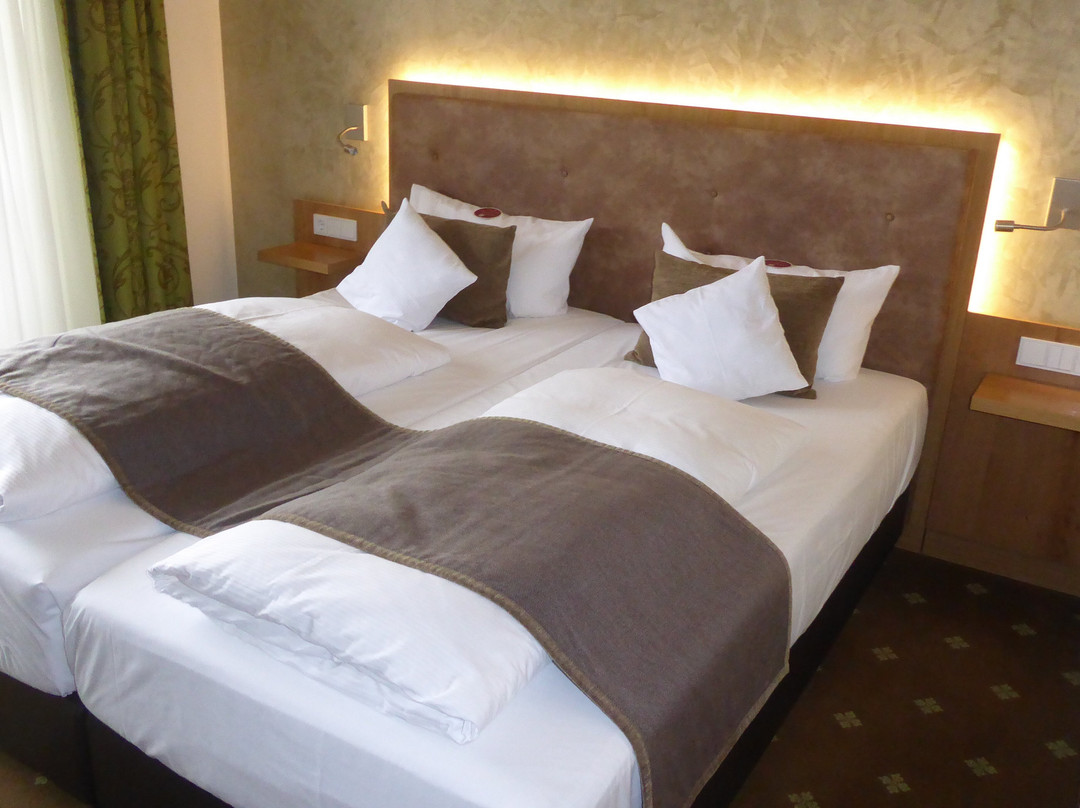 Hotel Brauerei Gasthof Hohn主图
