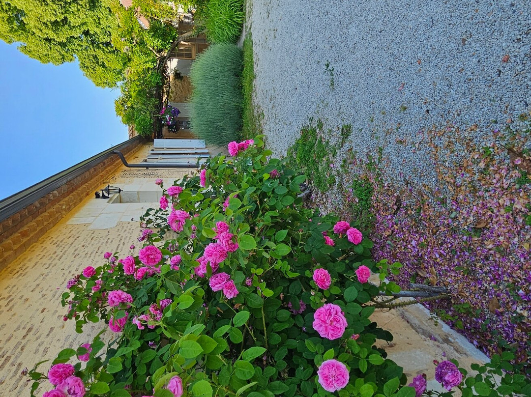 Ostal de Pombonne主图