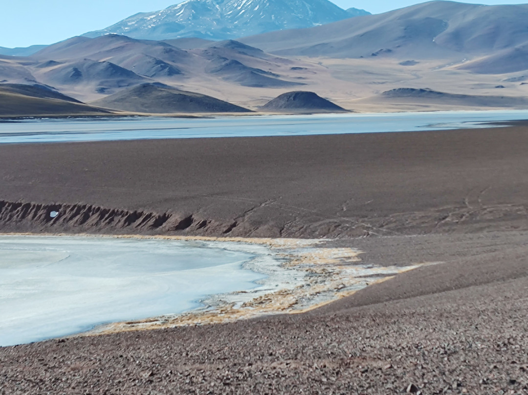 Laguna Brava Provincial Reserve-拉里奥哈必去景点