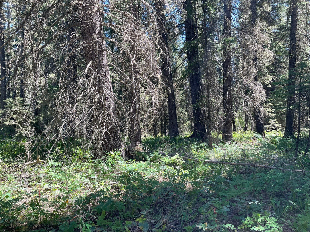 Craig Thomas Discovery & Visitor Center in Moose-大提顿国家公园必去景点