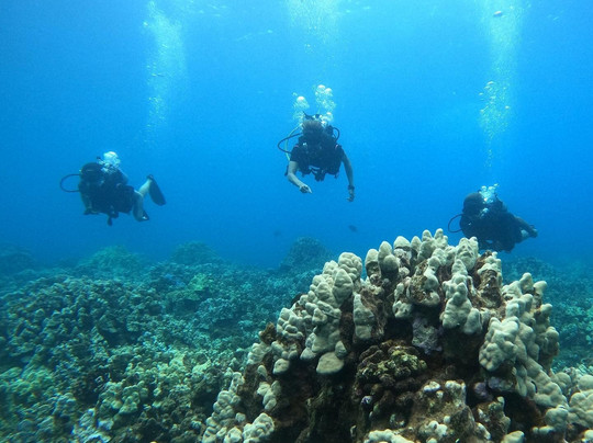 Sammy Scuba Diving-拉海纳必去景点