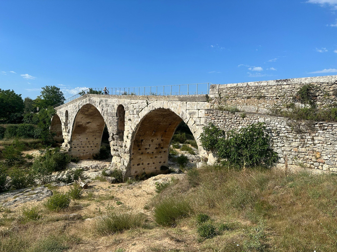 Provence Cycling Holidays主图