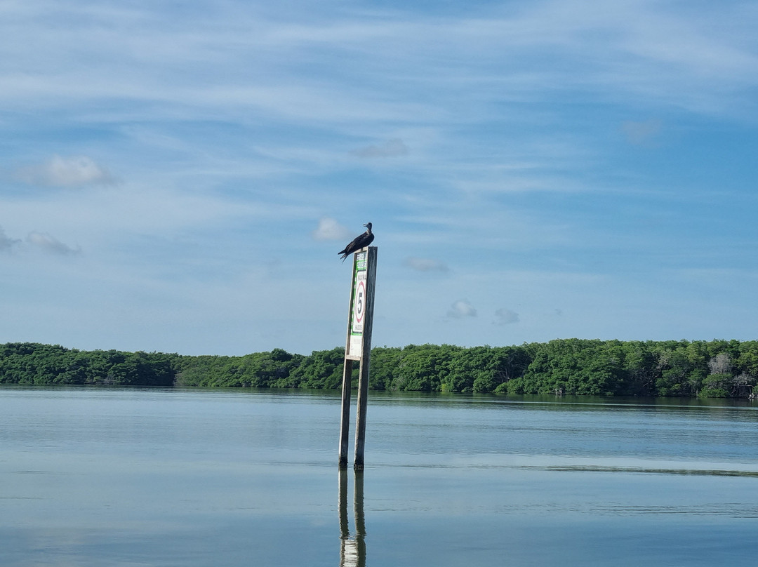 Boat tour with Martín Aguiñaga景点图片