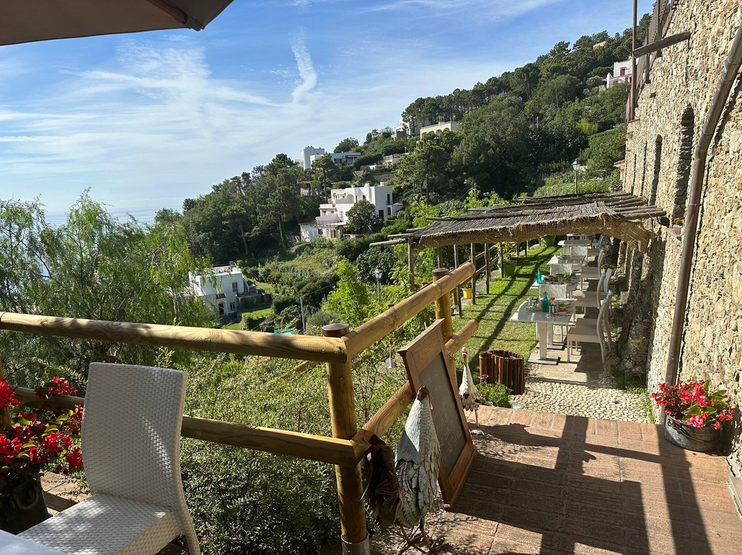 Il Paradiso Di Manu主图