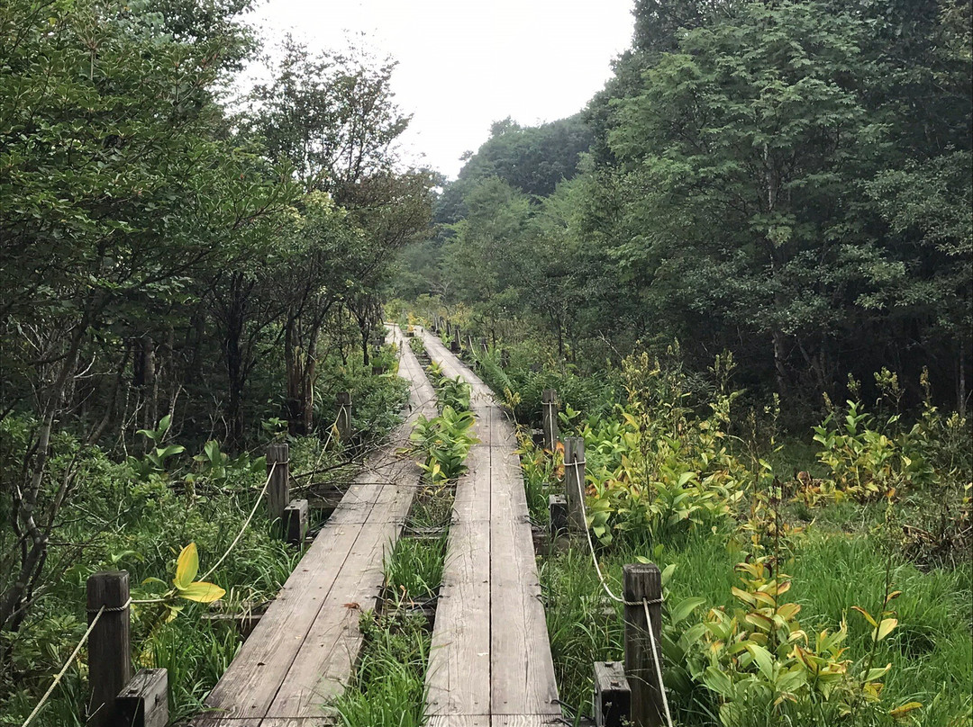 Numappara Marshland-那须盐原市必去景点