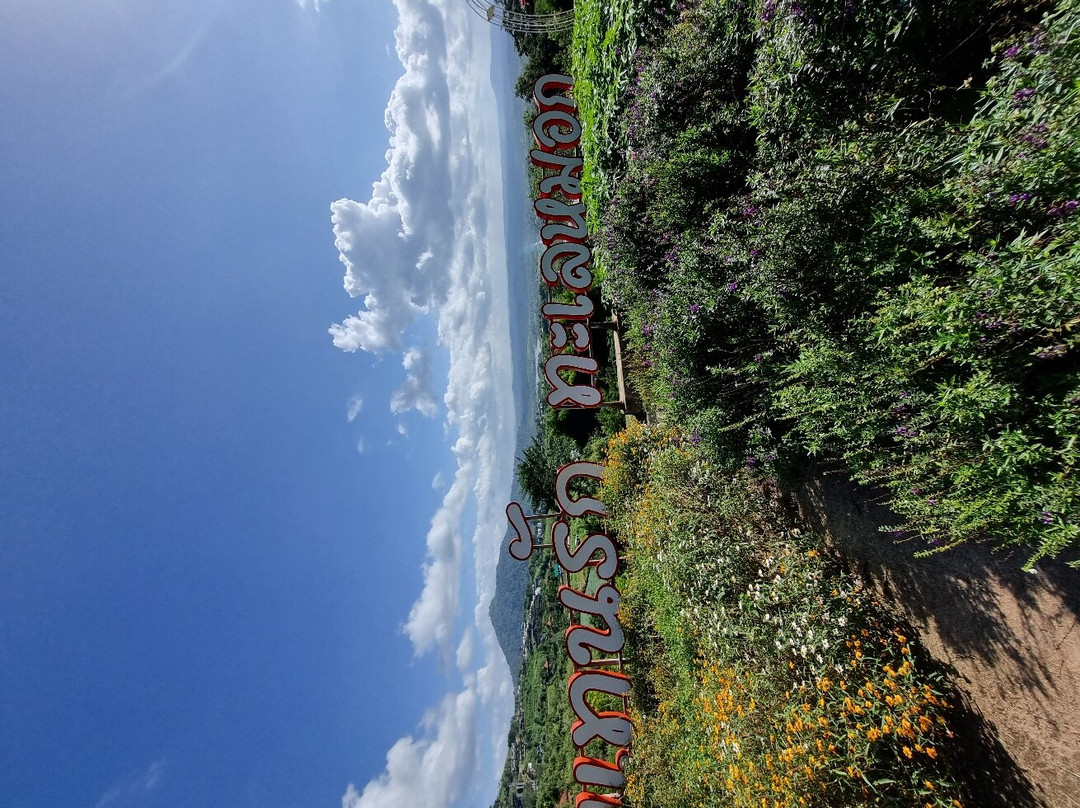 Khao Kho Wind Farm景点图片