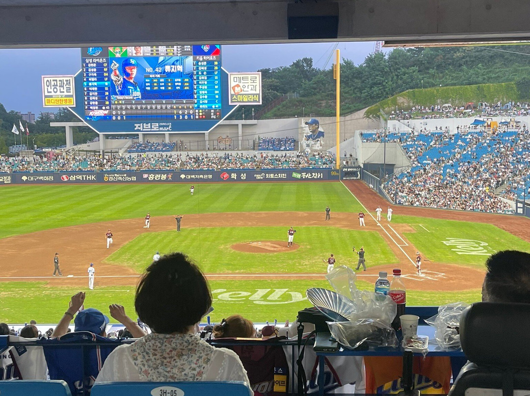 Daegu Samsung Lions Park-大邱必去景点