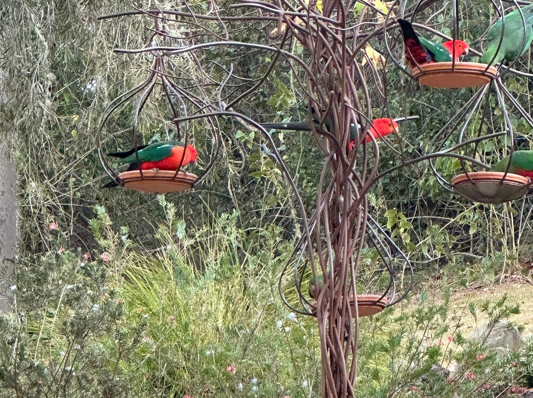 Copeland House主图